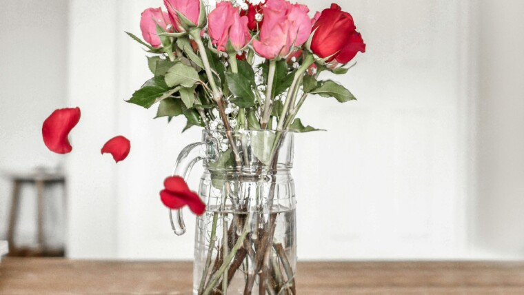 Types of Roses: A Visual Compendium