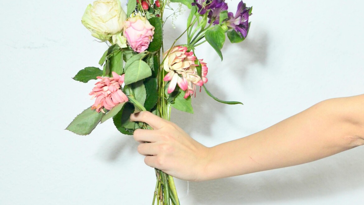 20 Types of Greenery and Filler Flowers