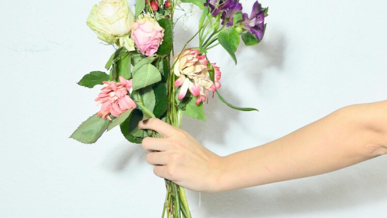 20 Types of Greenery and Filler Flowers