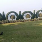 Landscaping